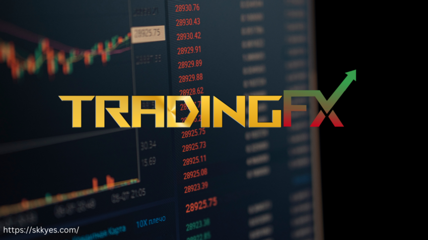 trading fx.live